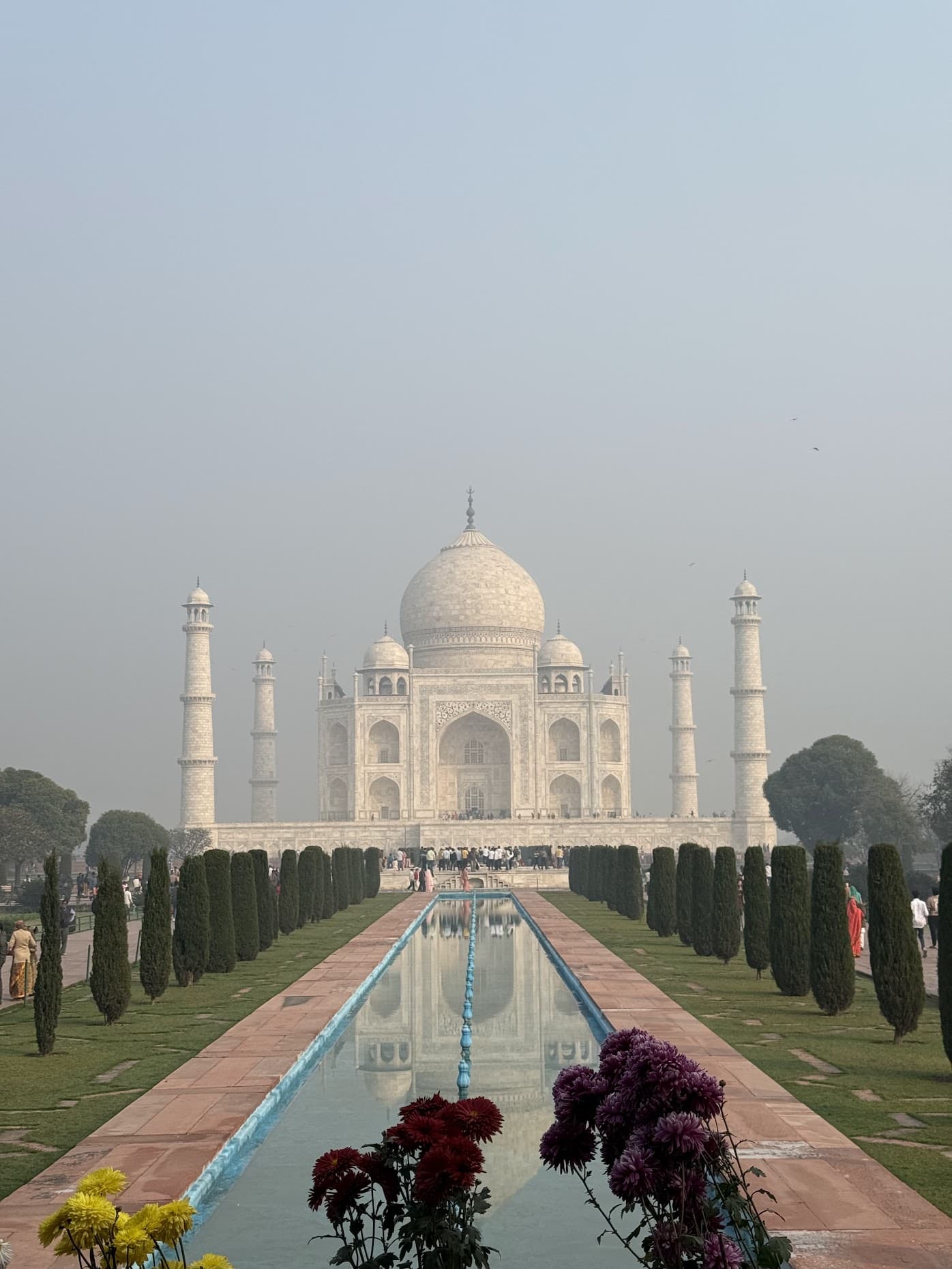 The Taj Mahal reflected in the long garden pool, framed by cypress trees and flowers in the morning haze